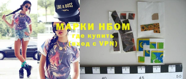 индика Аркадак