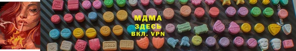 индика Аркадак